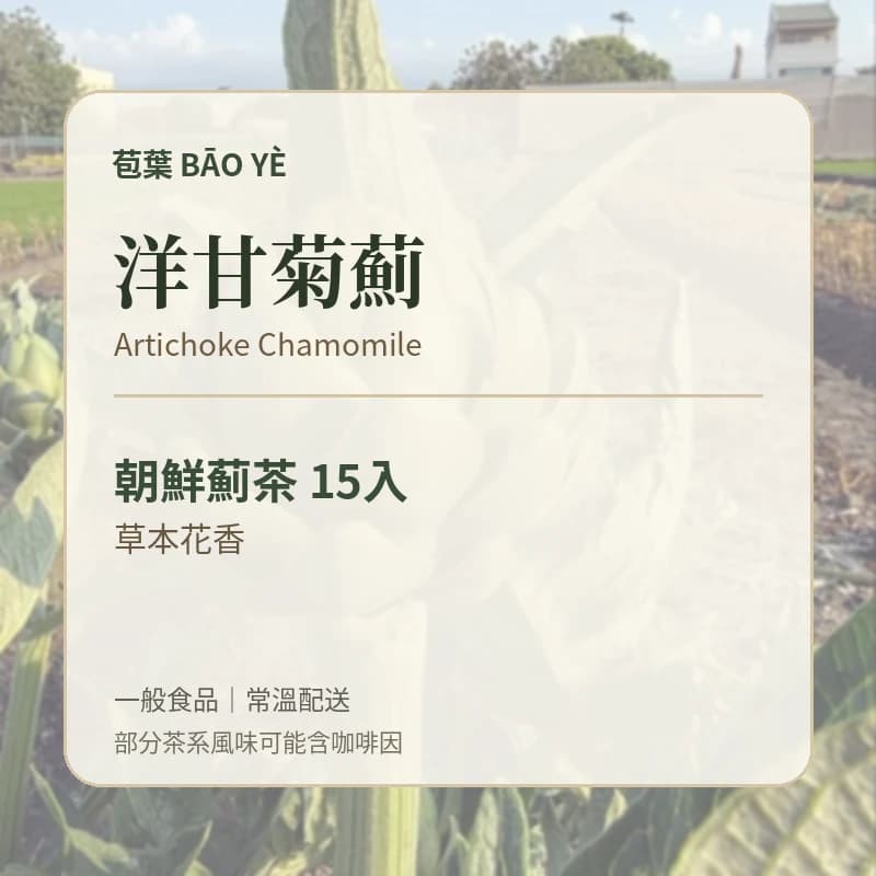 苞葉朝鮮薊茶洋甘菊薊口味卡