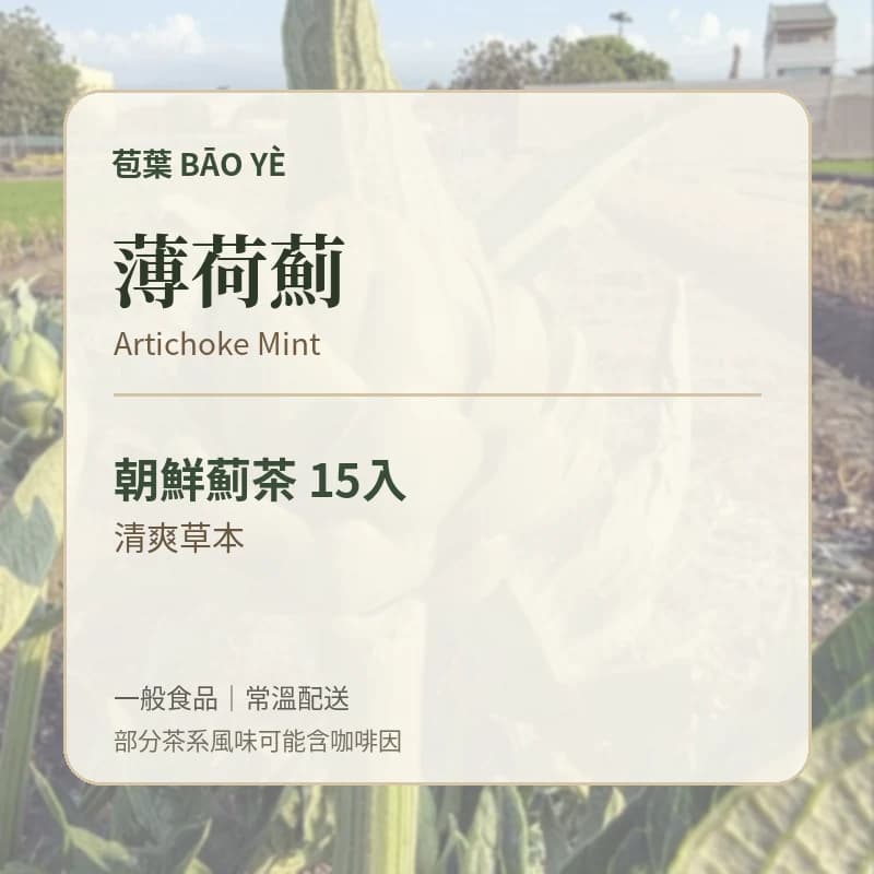 苞葉朝鮮薊茶薄荷薊口味卡